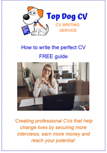 Free CV Guide